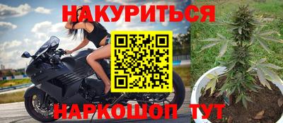 хмурый Гудермес