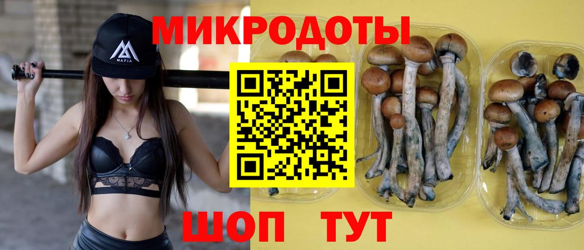 Вичуга  Псилоцибиновые грибы мицелий  Вход с VPN 